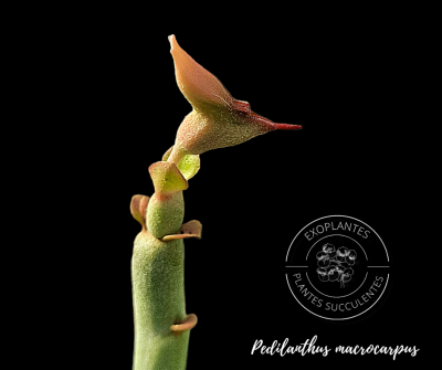 20230226 214635 0000