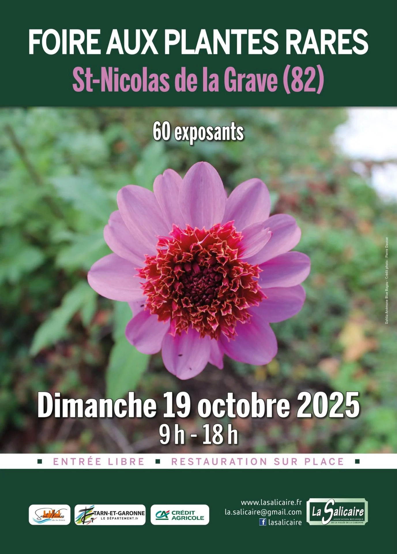 Foire aux plantes rares saint nicolas de la grave