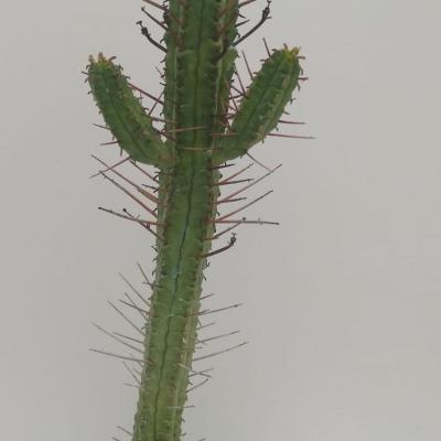 Img 20210308 wa0002
