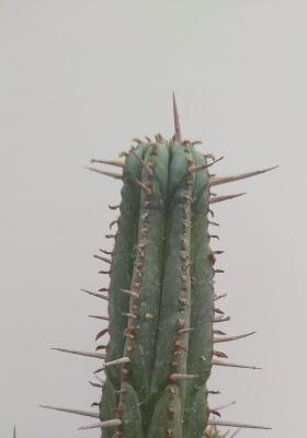 Img 20210308 wa0010