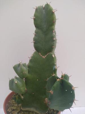 Img 20210308 wa0015