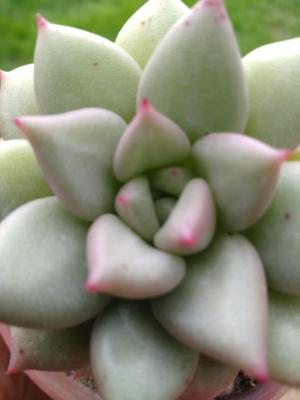 Img 20210309 wa0001