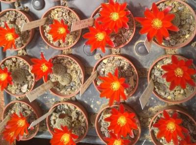 Img 20210518 wa0000 1