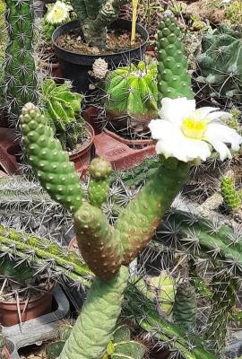 Img 20220702 234709 241