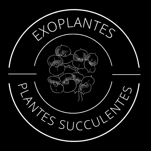 Exoplantes