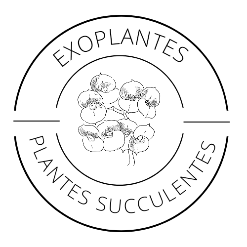 exoplantes